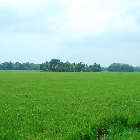 Triveny River Palace Hotell Alappuzha Eksteriør bilde