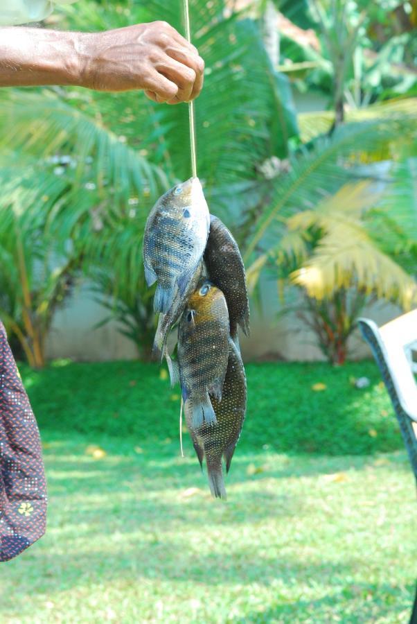 Triveny River Palace Hotell Alappuzha Eksteriør bilde
